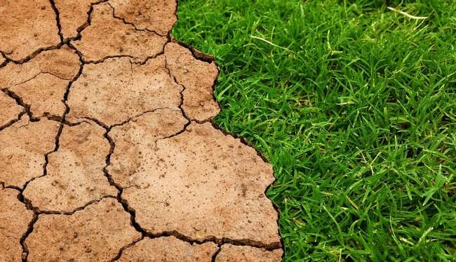 Council Grants to Boost Environmental and Climate Change Projects
