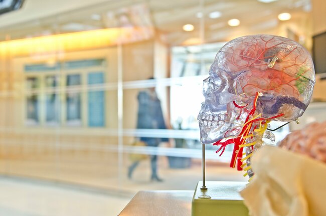 COVID-19 Vaccines Save Dementia Patients' Lives in Nursing Homes