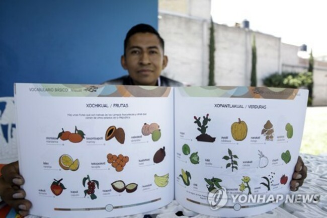 MEXICO INDIGENOUS LANGUAGE