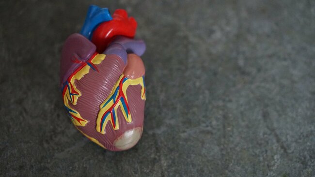 House Appropriators Slash Funding for Life-Saving Programs