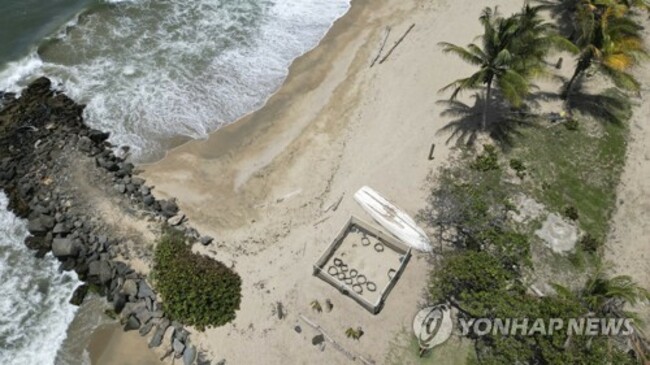 Venezuela Marine Turtles