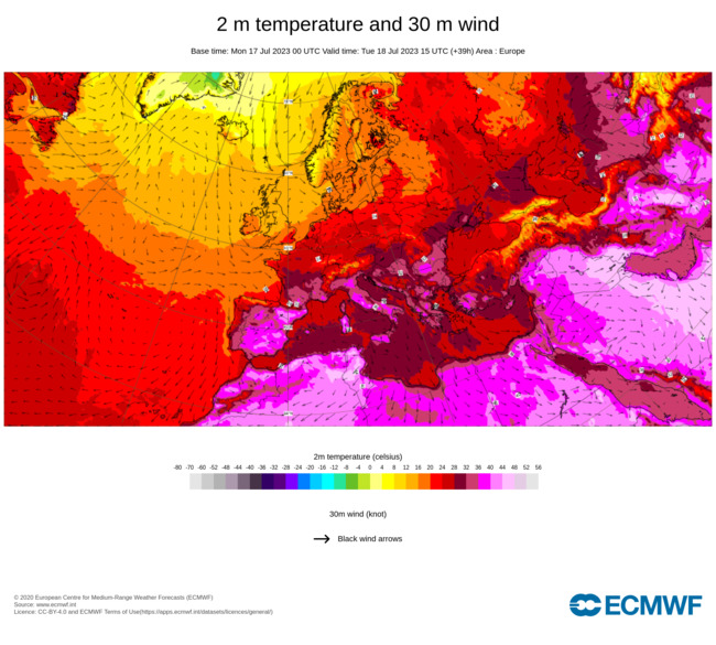 Heatwaves Ravage Northern Hemisphere in Summer of Extremes