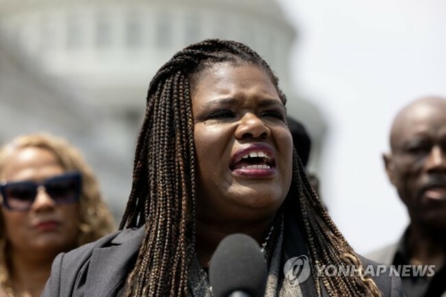 USA CONGRESS DEMOCRATS PUBLIC SAFETY