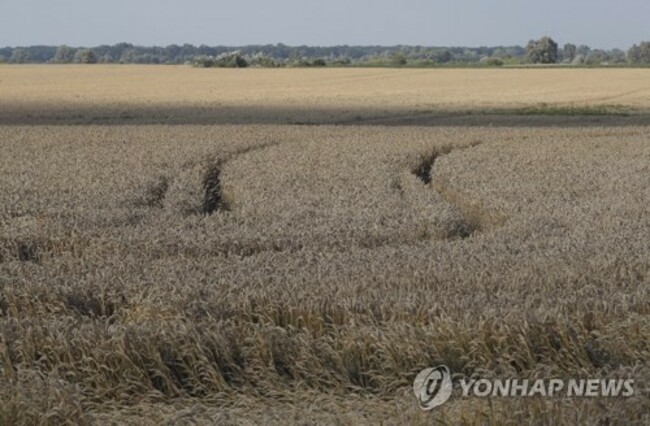 UKRAINE RUSSIA CONFLICT HARVEST