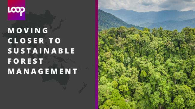 Moving closer to sustainable forest management