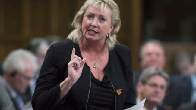 Group of 'like-minded' Conservatives looking to form 'mini-caucus' to talk about vaccines