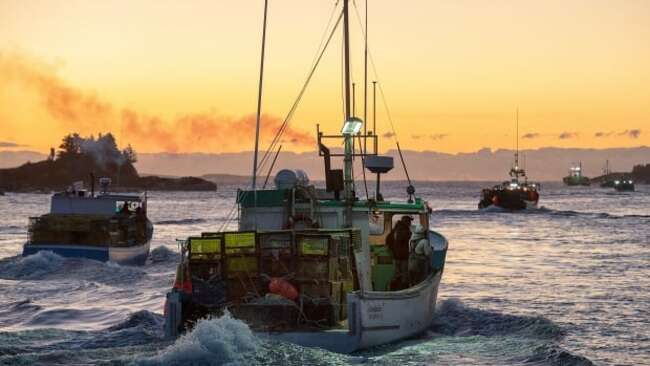 Decades-old DFO policy preventing aging fishermen from selling lobster licences