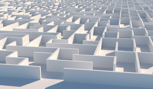 Mice's Neurons Activate Upon Correcting Maze Mistake
