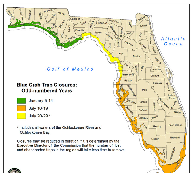 Blue crab trap closure for Wakulla through Hernando counties starts July 20th