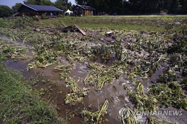 Northeast Floods-Farmers