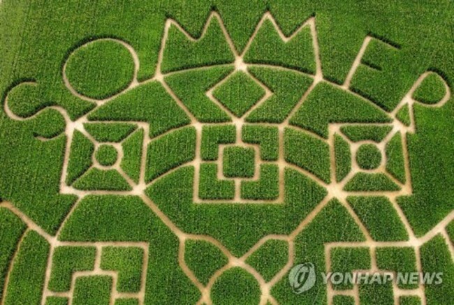 GERMANY CORN LABYRINTH