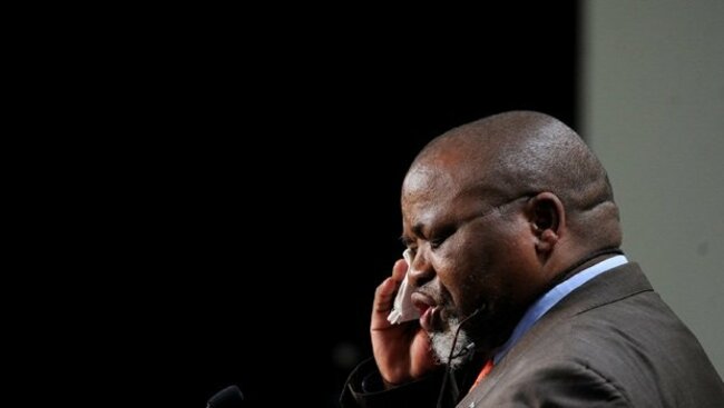 Mantashe calls on Africa to unite against 'coercion' by global anti-fossil fuel agenda