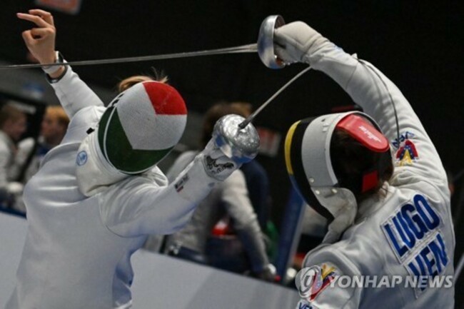 ITALY FENCING