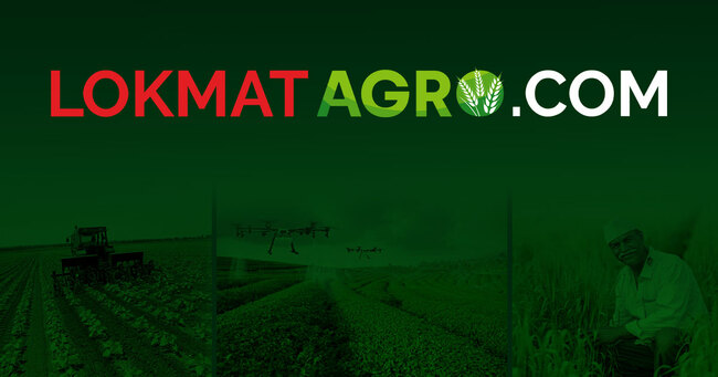 Agriculture & Farming News in Marathi, Latest Information on Organic Farming Techniques & Technologies, कृषी बातम्या, Agronomy, Agriculture Farming Business