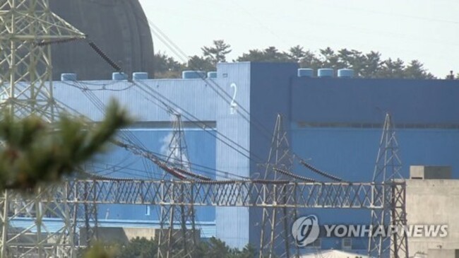 Nuclear reactor in southern S. Korea comes to halt during electricity transmission test