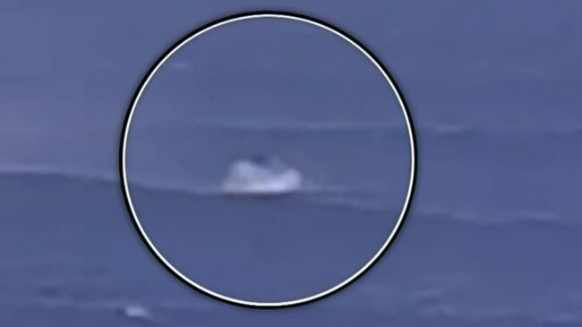 Gnarabup Beach, WA: surfer swims ashore after shark attack