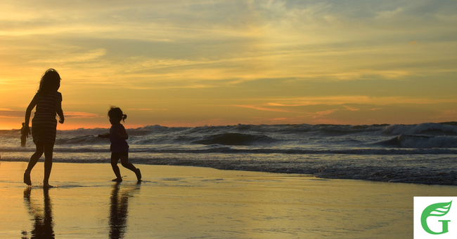 Green Party Urges Aotearoa to Share Dental Care Tales