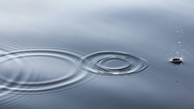 XRP Price Prediction: Will Ripple Make Waves?