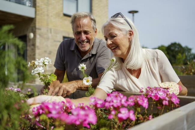 Cambridgeshire: 3 reasons why Mill View is the perfect place to retire
