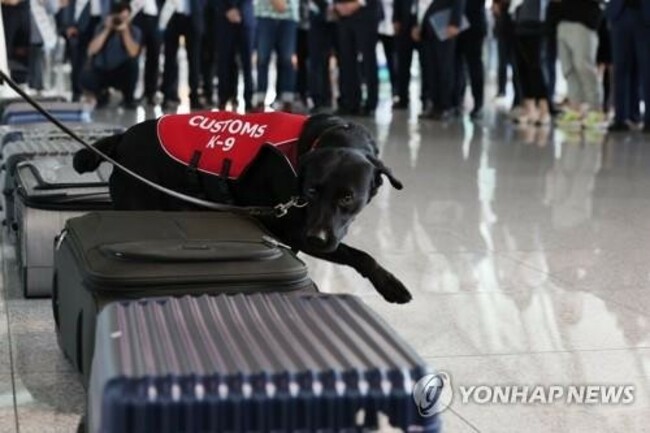 Record amount of drugs seized in S. Korea in H1: customs agency