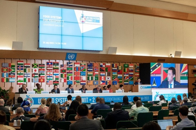 Scientists Crucial for Agrifood Systems Transformation, Prosperity