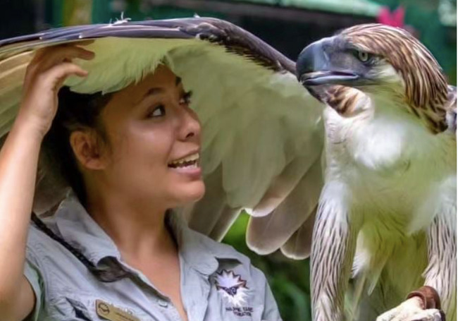 Philippine Eagle: Animal keeper takes to TikTok to spread awareness about PH's ‘bird of prey'