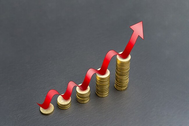 Long-term mutual funds in Korea bring up to 1,000% cumulative returns