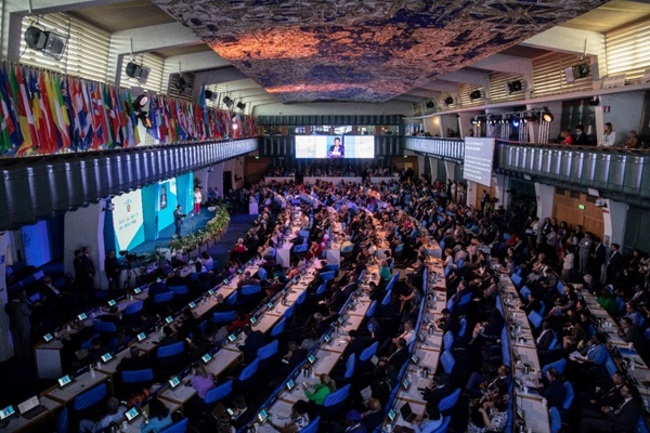 FAO Pledges to Boost Agrifood Systems Transformation as UNFSS+2 Ends