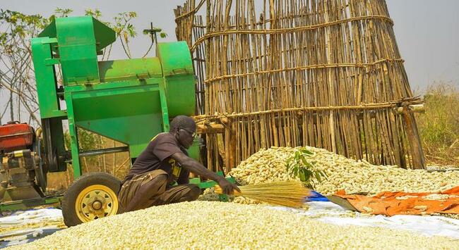 Food System Transformation Crucial to Revive SDGs: Mohammed