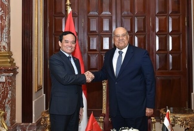 Vietnam wants to strengthen multifaceted cooperation with Egypt, says Deputy PM