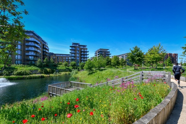 UK Gov Boosts Biodiversity Net Gain with Increased Funding