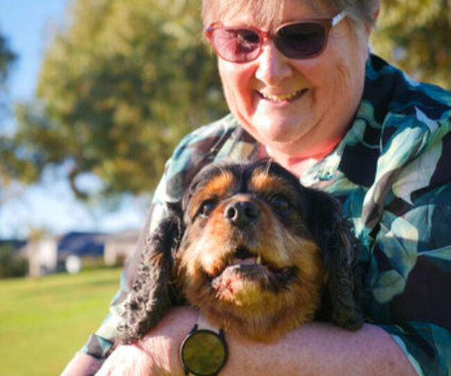 Have you registered your pet yet?