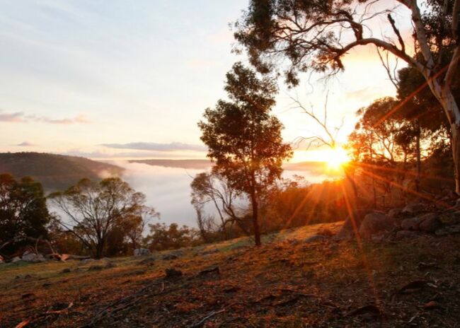 AWC Joins Australia's Debut International Wildlife Film Fest