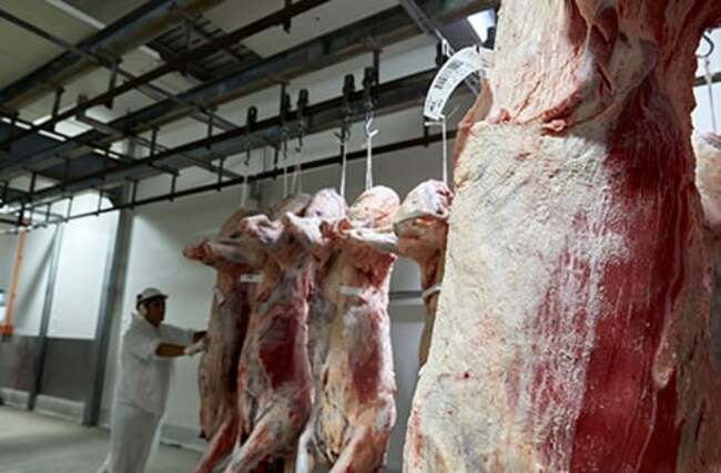 Weekly cattle and sheep market wrap 28 July