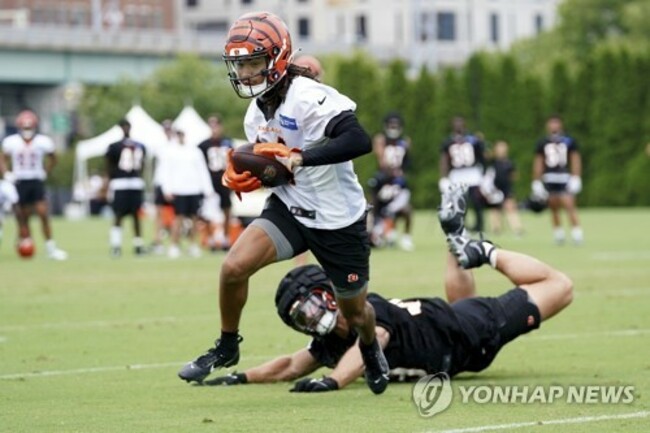 Bengals Football