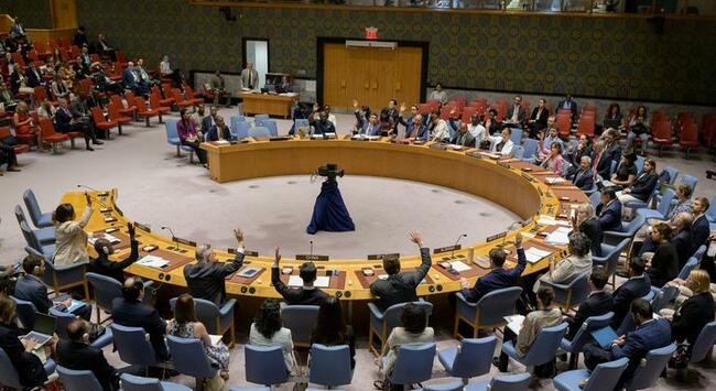 UN Security Council Condemns Niger's Unconstitutional Regime Change