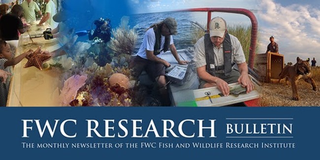 Florida Wildlife Research Institute July Research Updates