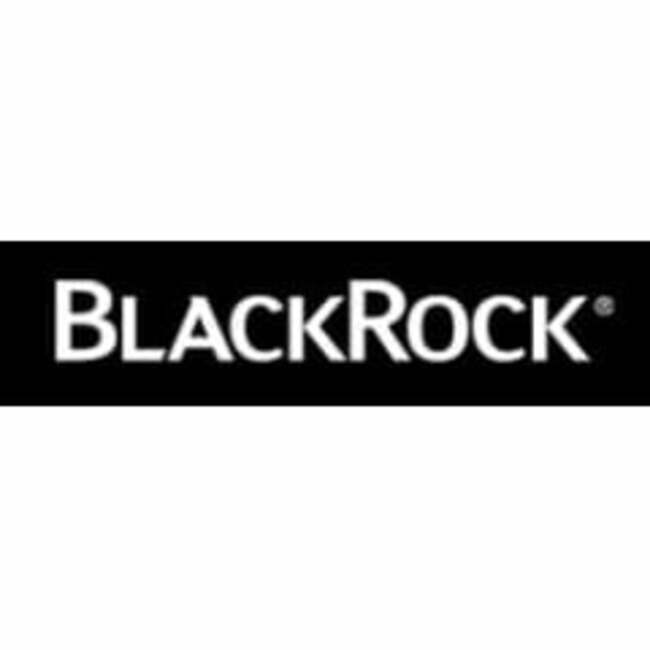 Intellectus Partners LLC Increases Stock Holdings in BlackRock Taxable Municipal Bond Trust (NYSE:BBN)