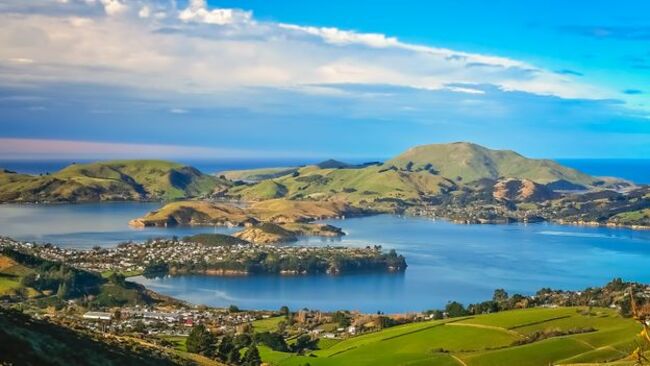 Six of the best ways to immerse yourself in nature around Dunedin
