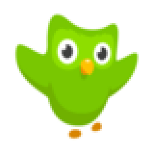 Duolingo, Inc. (NYSE:DUOL) Receives Average Rating of 'Moderate Buy' from Analysts