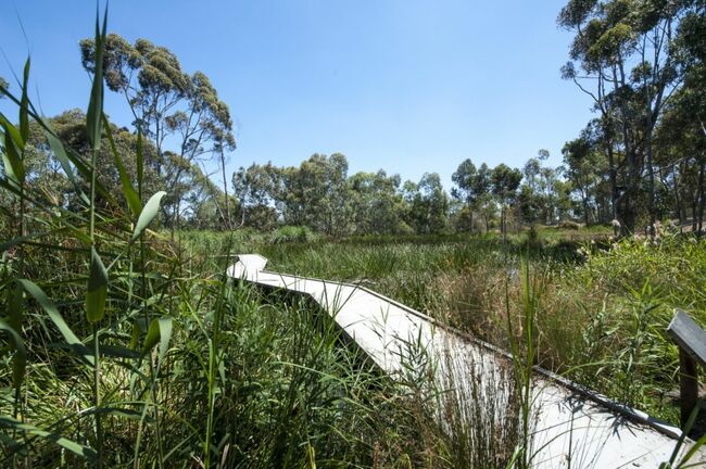La Trobe launches first Green Bond