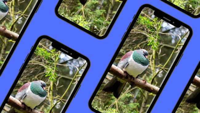 Newsroom daily quiz, Wednesday 2 August