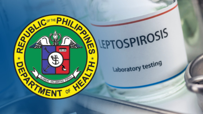 Leptospirosis cases surge 51% in first 7 months