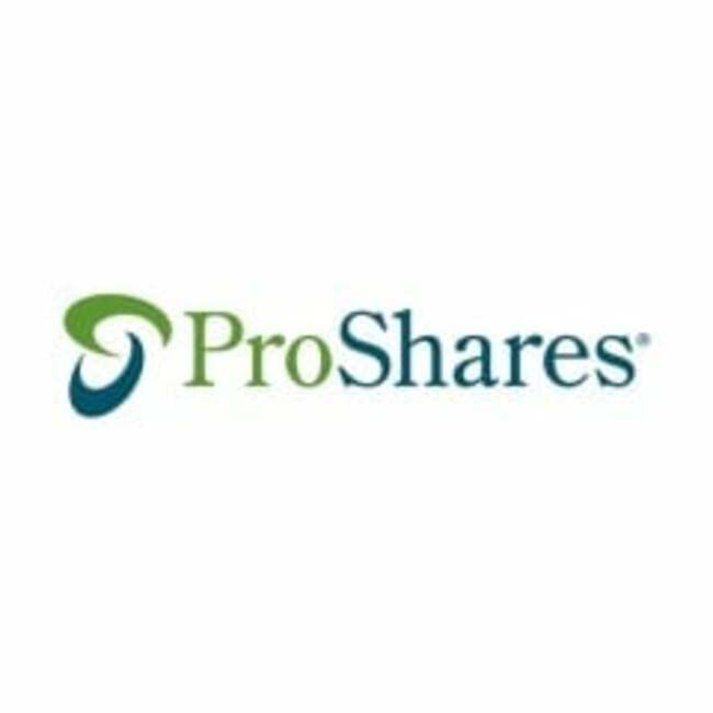 ProShares Russell 2000 Dividend Growers ETF (BATS:SMDV) Shares Sold by CFS Investment Advisory Services LLC