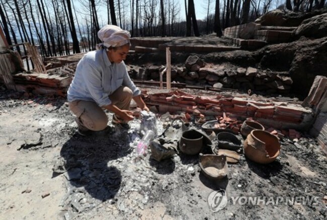 TUNISIA FOREST FIRES
