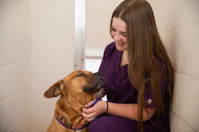 New Animal Services Courses Debut at SUU