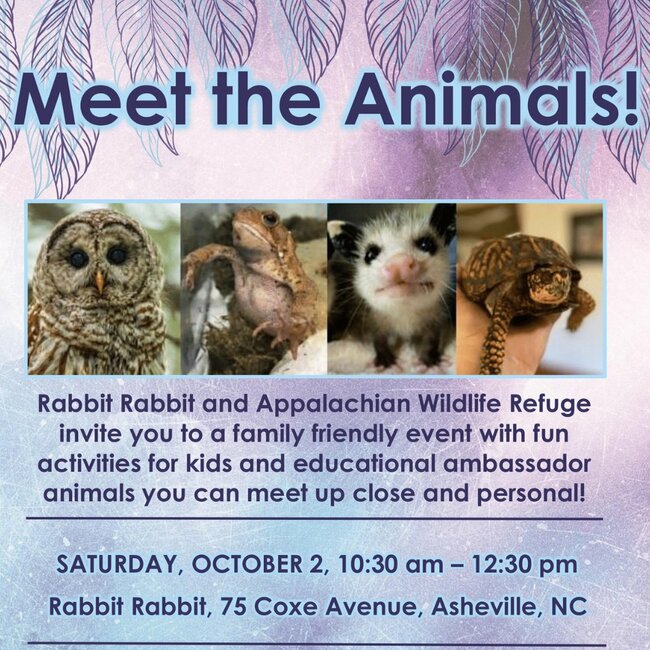 Family-Friendly Wildlife Event at Rabbit Rabbit