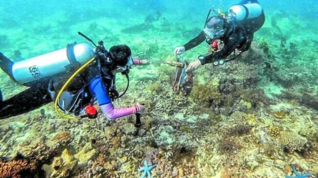Metro Pacific deepens 15-year-old advocacy to clean up the seas