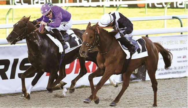 Dhafi al-Marri’s Rysk Tout prevails at Pau