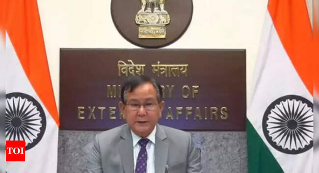 indian ocean: Indian Ocean region most vital for global commerce, geopolitical stability: MEA